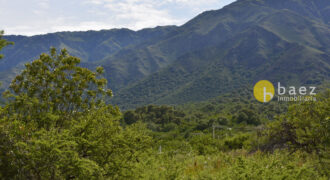 LOTE DE 8700M2 EN CARPINTERIA