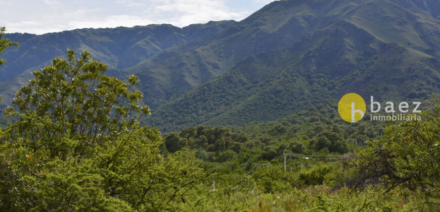 LOTE DE 8700M2 EN CARPINTERIA