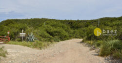 LOTE DE 8700M2 EN CARPINTERIA