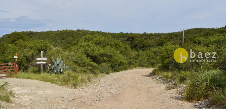 LOTE DE 8700M2 EN CARPINTERIA