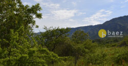LOTE DE 8700M2 EN CARPINTERIA