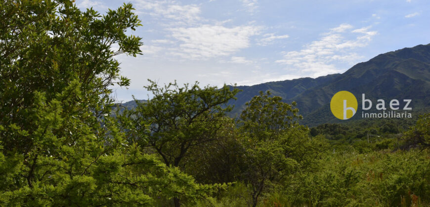 LOTE DE 8700M2 EN CARPINTERIA