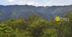 LOTE DE 8700M2 EN CARPINTERIA