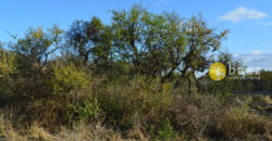 LOTE DE 1700M2 EN CARPINTERIA