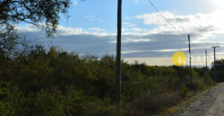 LOTE DE 1700M2 EN CARPINTERIA
