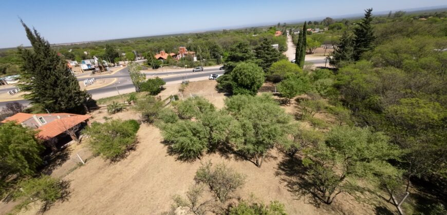 LOTE  DE  2900M2  ALAMBRADO Y  PARQUIZADO SOBRE RUTA N 1 EN LOS MOLLES