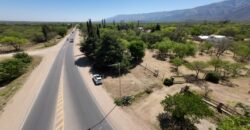 LOTE  DE  2900M2  ALAMBRADO Y  PARQUIZADO SOBRE RUTA N 1 EN LOS MOLLES