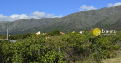 LOTE DE 4890M2 EN CARPINTERIA