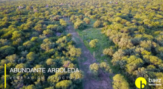 LOTES DE 1.700 MTS – LOTEO TÍA BLANCA EN CARPINTERÍA