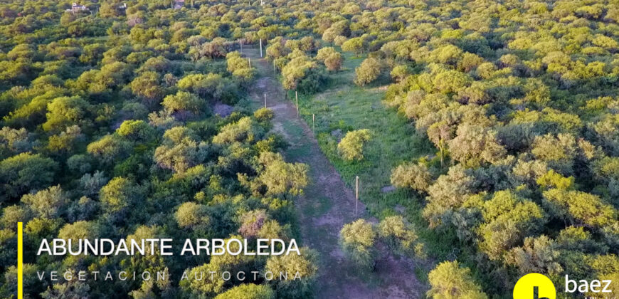 LOTES DE 1.700 MTS – LOTEO TÍA BLANCA EN CARPINTERÍA