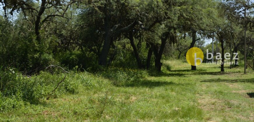 LOTES DE 1.700 MTS – LOTEO TÍA BLANCA EN CARPINTERÍA