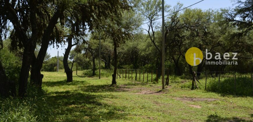 LOTES DE 1.700 MTS – LOTEO TÍA BLANCA EN CARPINTERÍA