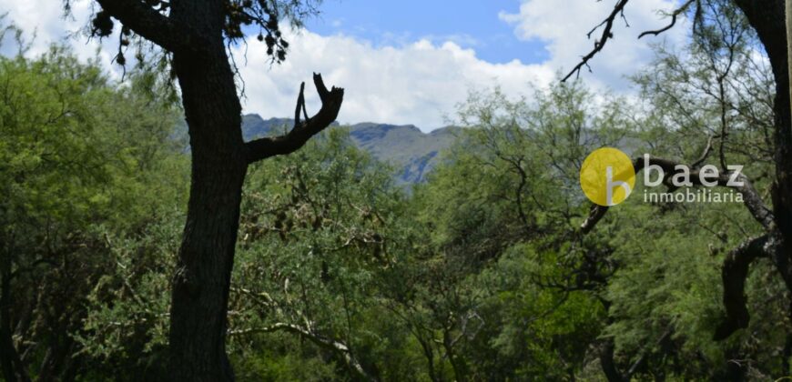 LOTES DE 1.700 MTS – LOTEO TÍA BLANCA EN CARPINTERÍA