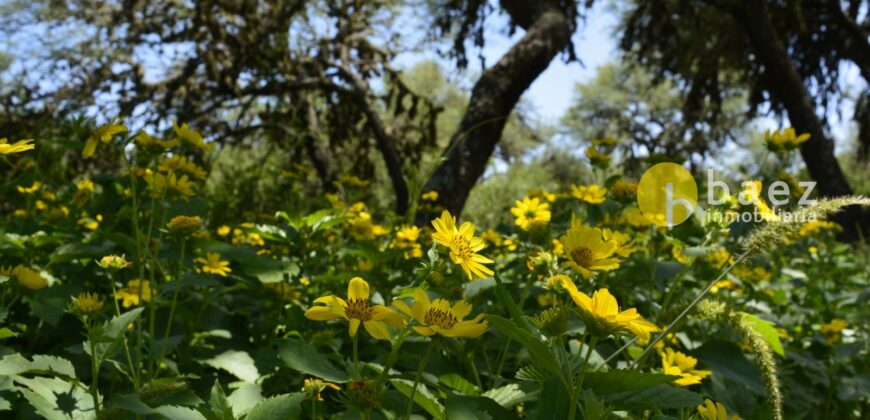 LOTES DE 1.700 MTS – LOTEO TÍA BLANCA EN CARPINTERÍA