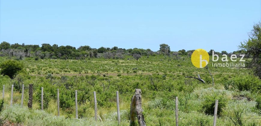 LOTES DE 1000 M2 EN CORTADERAS