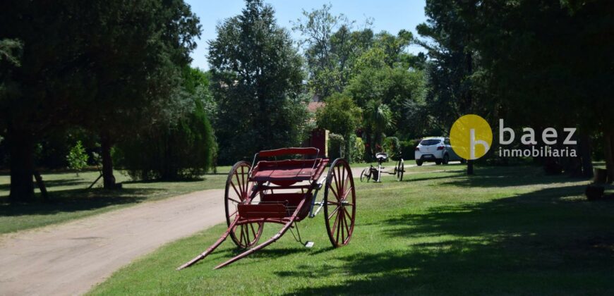 COMPLEJO DE CABAÑAS EN CERRO DE ORO