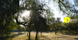 LOTE DE 7138M2 EN CARPINTERIA