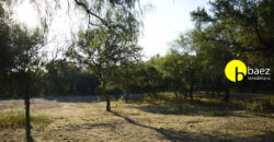 LOTE DE 7138M2 EN CARPINTERIA