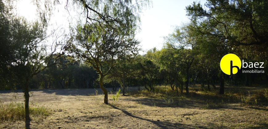 LOTE DE 7138M2 EN CARPINTERIA