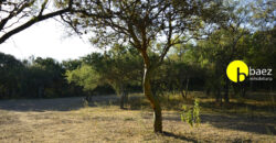 LOTE DE 7138M2 EN CARPINTERIA