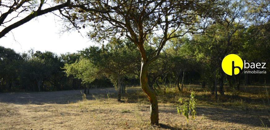 LOTE DE 7138M2 EN CARPINTERIA