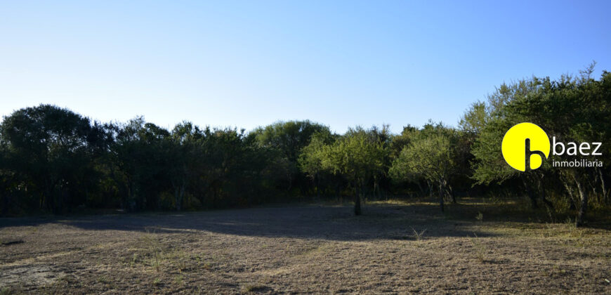 LOTE DE 7138M2 EN CARPINTERIA