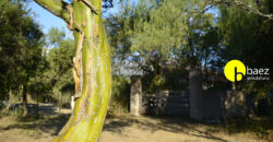 LOTE DE 7138M2 EN CARPINTERIA