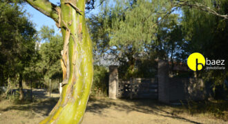LOTE DE 7138M2 EN CARPINTERIA