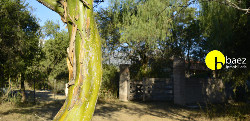 LOTE DE 7138M2 EN CARPINTERIA
