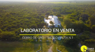 PROPIEDAD COMERCIAL SOBRE RUTA N 1 EN MERLO PROPIEDAD COMERCIAL SOBRE RUTA N 1 EN MERLO