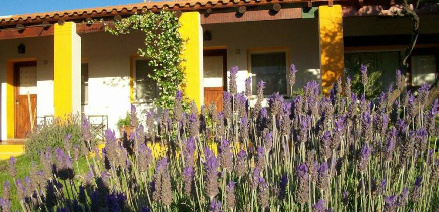 HOSTERIA «LAS LOMAS» EN SAN MIGUEL