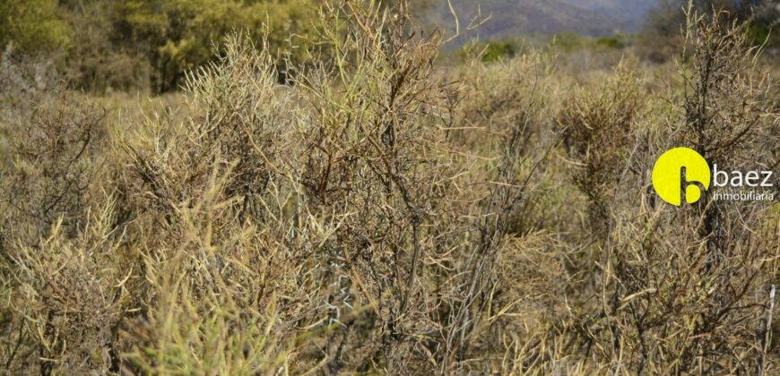 4 HECTÁREAS EN CARPINTERÍA