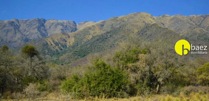 4 HECTÁREAS EN CARPINTERÍA