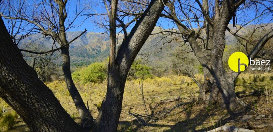 4 HECTÁREAS EN CARPINTERÍA