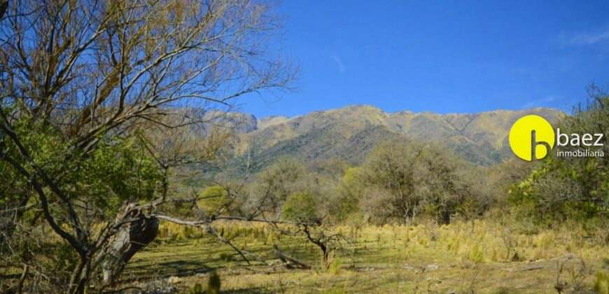 4 HECTÁREAS EN CARPINTERÍA