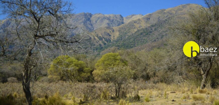 4 HECTÁREAS EN CARPINTERÍA