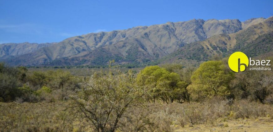 4 HECTÁREAS EN CARPINTERÍA