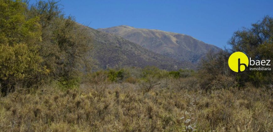 4 HECTÁREAS EN CARPINTERÍA