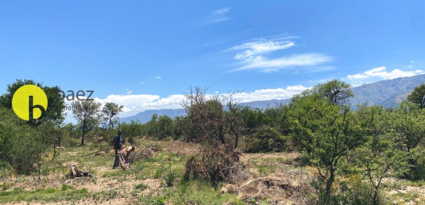 PRE-VENTA LOTEO «MONTE RUSO» EN LOS MOLLES