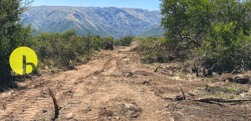 PRE-VENTA LOTEO «MONTE RUSO» EN LOS MOLLES