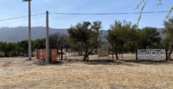 LOTE SOBRE RUTA 1 EN CORTADERAS