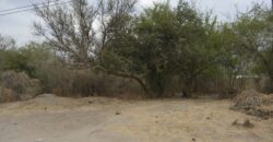 LOTE DE 400M2 EN MERLO