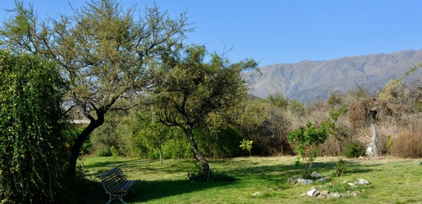 COMPLEJO DE CABAÑAS EN CARPINTERIA