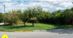 LOTE CENTRICO EN MERLO