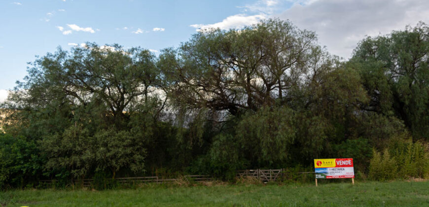 1 HA SOBRE RUTA Nº1 EN MERLO