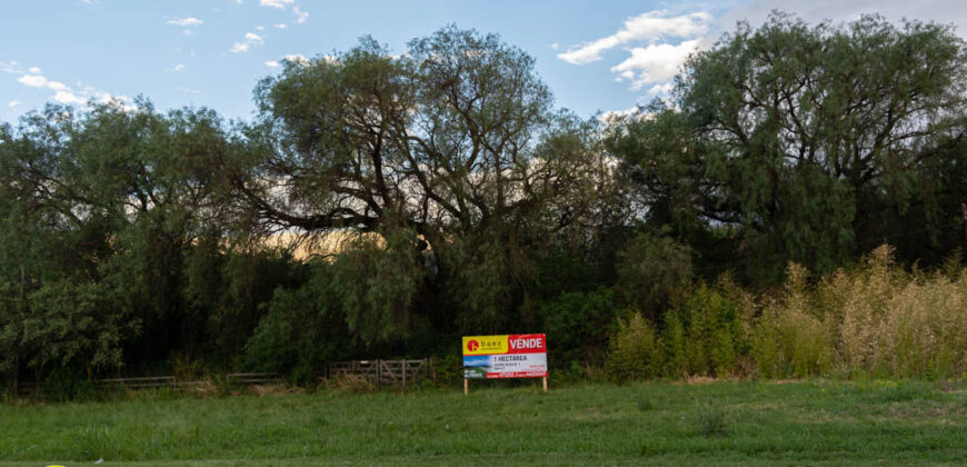 1 HA SOBRE RUTA Nº1 EN MERLO