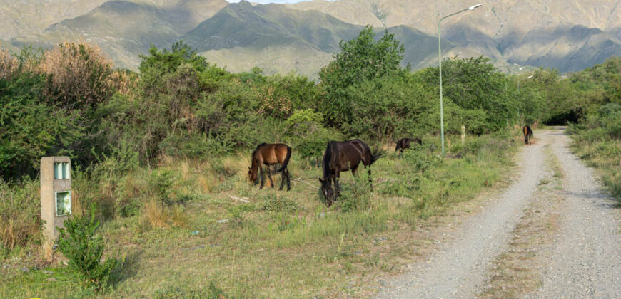 LOTEO «ALTOS DEL ESTE» EN MERLO