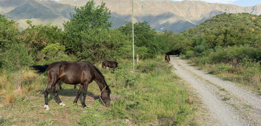 LOTEO «ALTOS DEL ESTE» EN MERLO