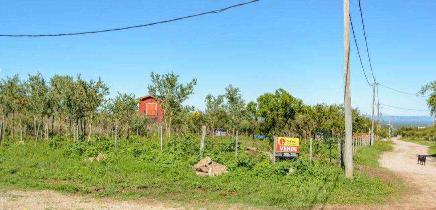 LOTE DE 1.000MTS EN EL POLEO