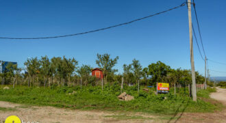 LOTE DE 1.000MTS EN EL POLEO